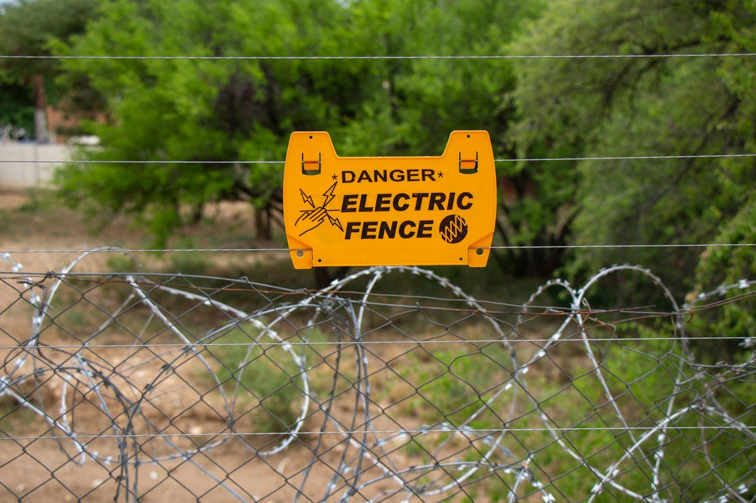 Electric Fencing in South Africa: Pros, Cons & Security Benefits