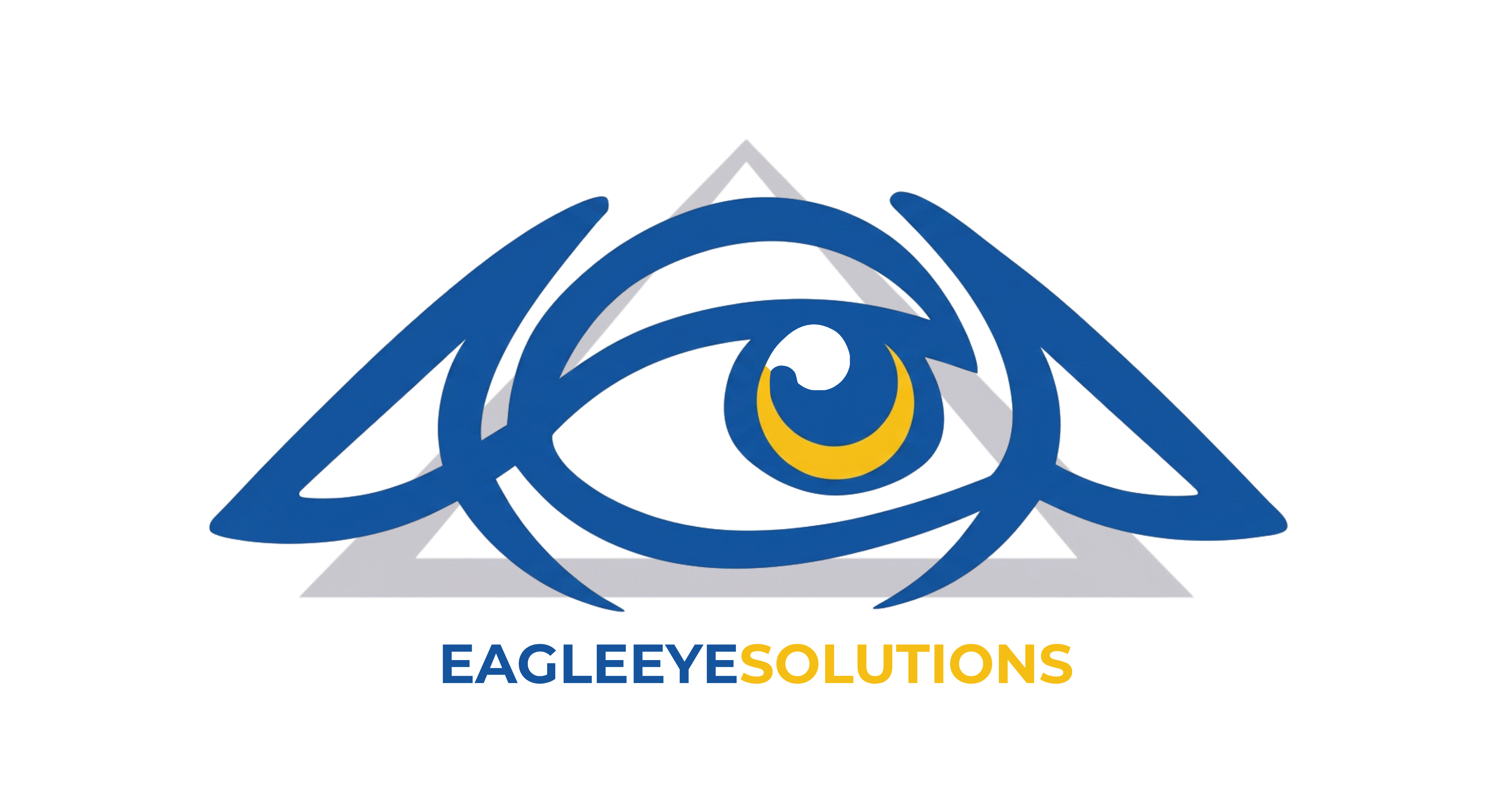 EagleEyeSolutions