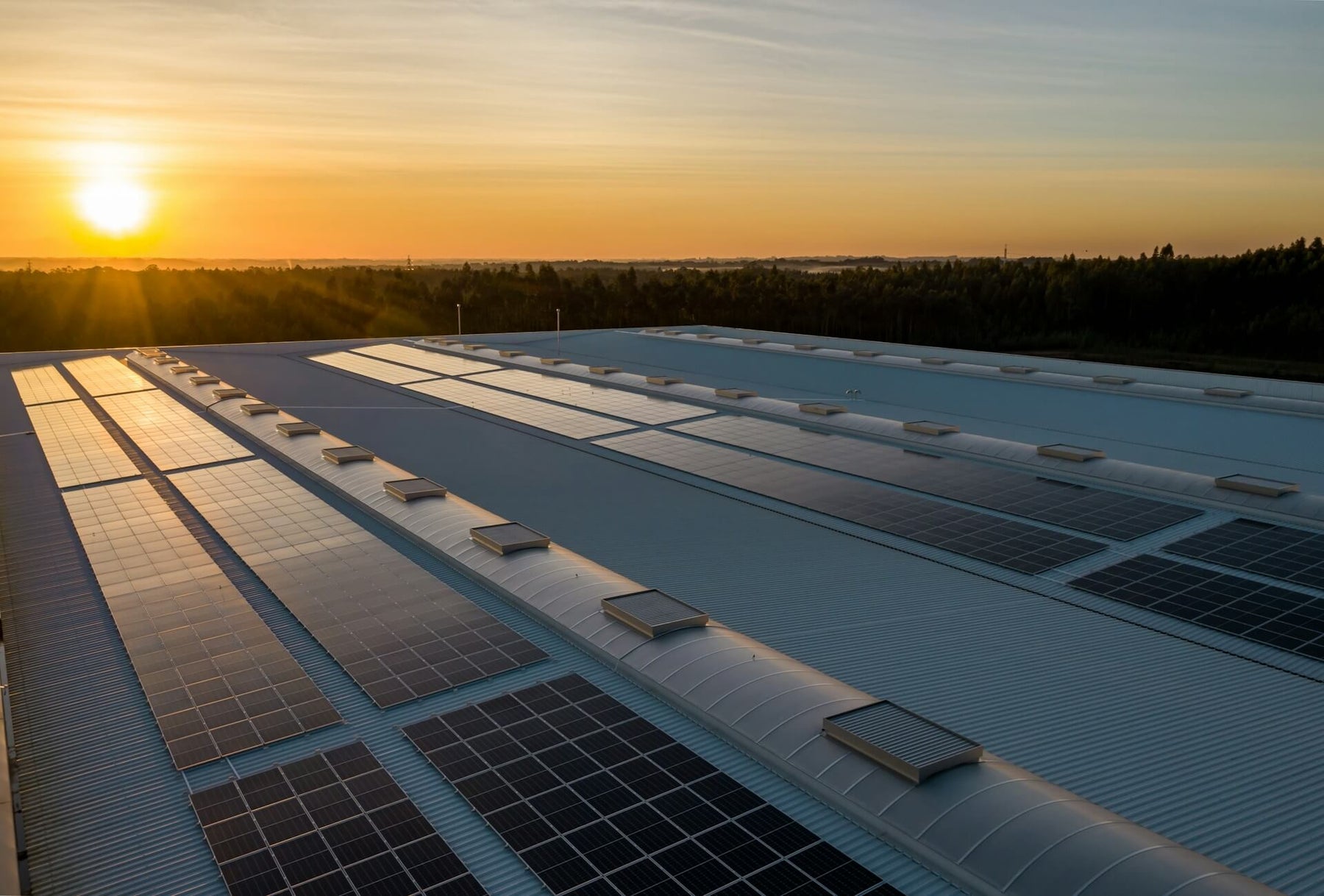 Rows of solar panels on a large commercial rooftop, glowing orange under a sunset sky with treeline in the distance.