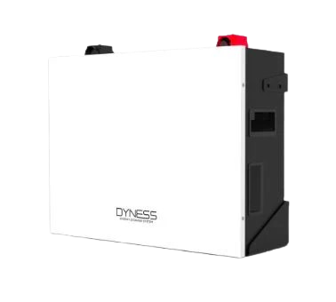 Dyness BX51100 5.12kWh battery with mounting bracket and cables.
